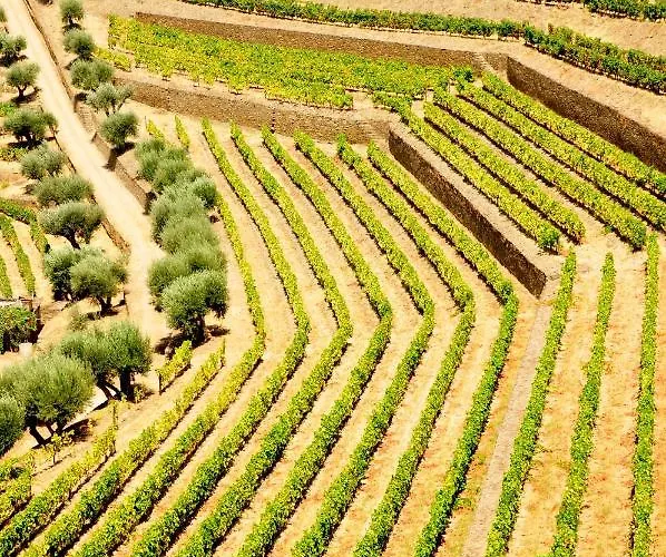 Casas De Pousadouro Baiao